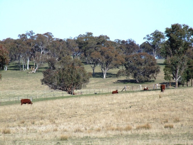 Walcha NSW 2354