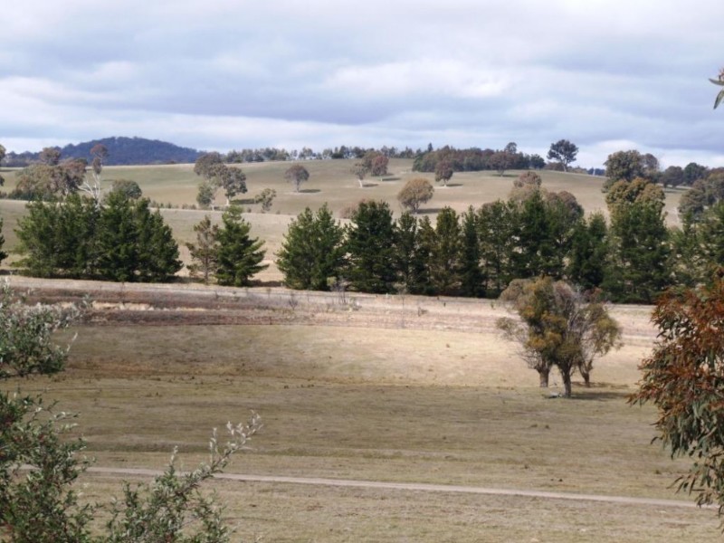 Walcha NSW 2354