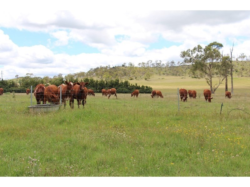153 Knobs Road, Armidale NSW 2350