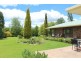 153 Knobs Road, Armidale NSW 2350