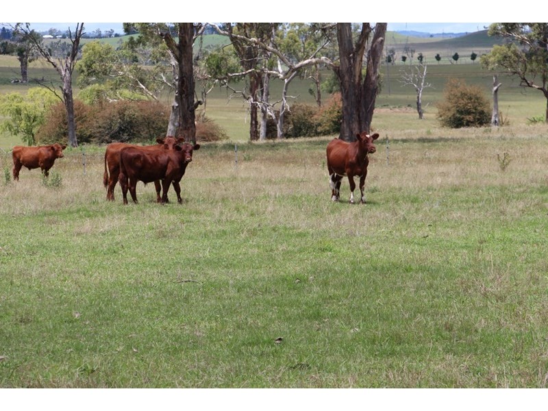 153 Knobs Road, Armidale NSW 2350