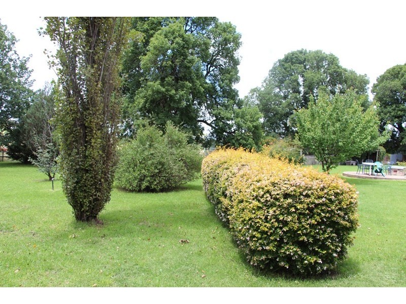 153 Knobs Road, Armidale NSW 2350