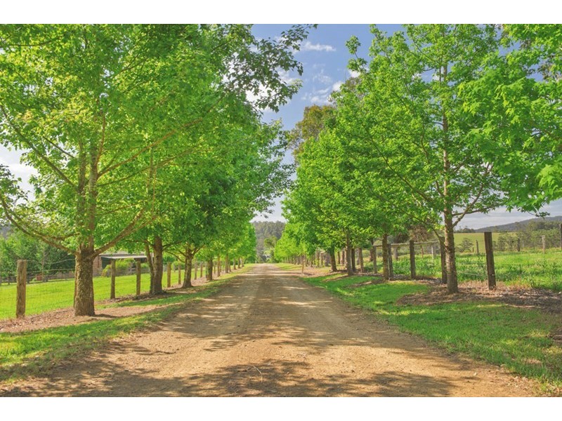 190 Bril Bril Road, Rollands Plains NSW 2441