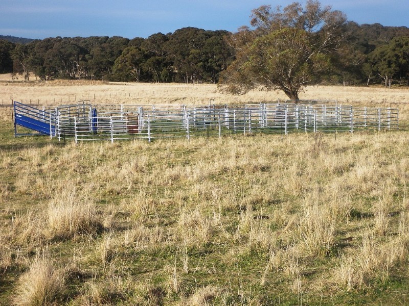 Guyra NSW 2365