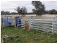 Guyra NSW 2365