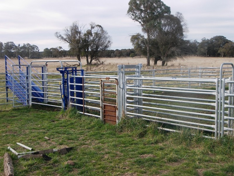 Guyra NSW 2365