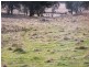 Guyra NSW 2365