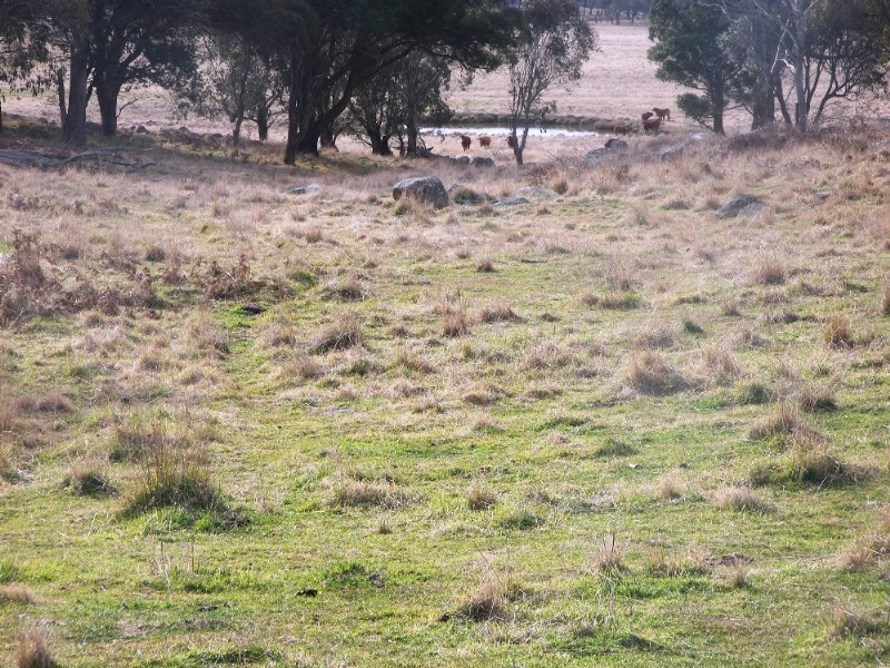 Guyra NSW 2365