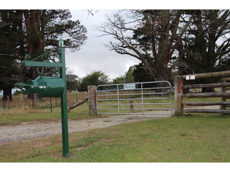 1350, Wyoming Wards Mistake Road, Guyra NSW 2365