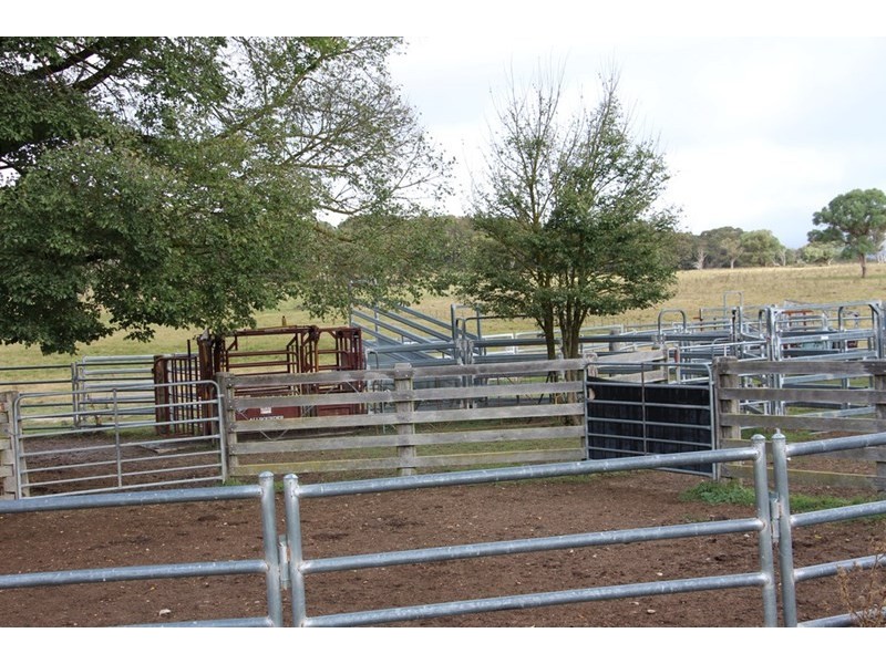 1350, Wyoming Wards Mistake Road, Guyra NSW 2365