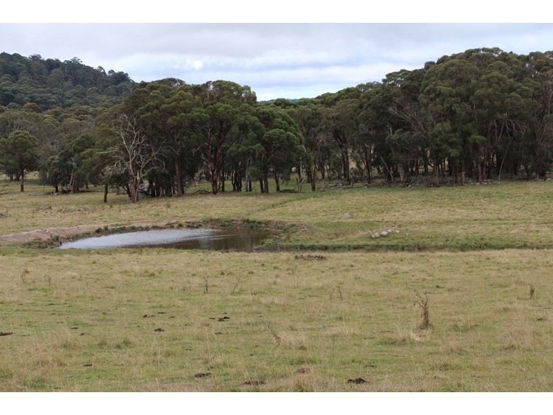 1350, Wyoming Wards Mistake Road, Guyra NSW 2365