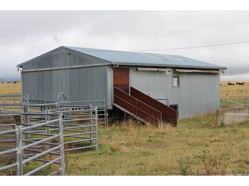 1350, Wyoming Wards Mistake Road, Guyra NSW 2365