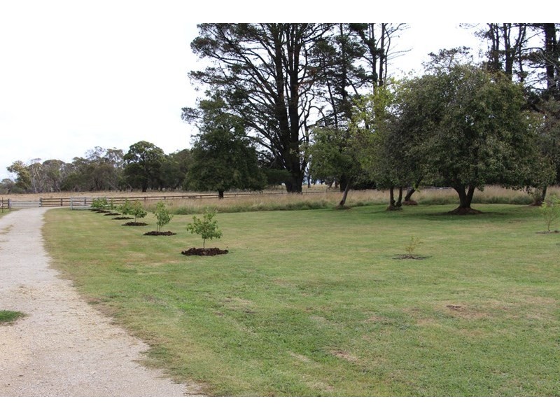 1350, Wyoming Wards Mistake Road, Guyra NSW 2365