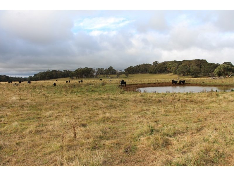 1350, Wyoming Wards Mistake Road, Guyra NSW 2365