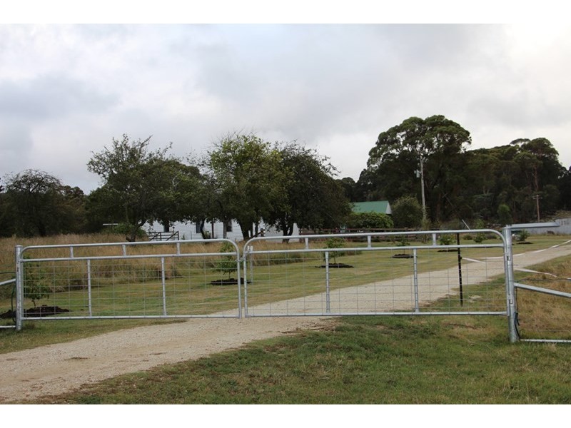 1350, Wyoming Wards Mistake Road, Guyra NSW 2365