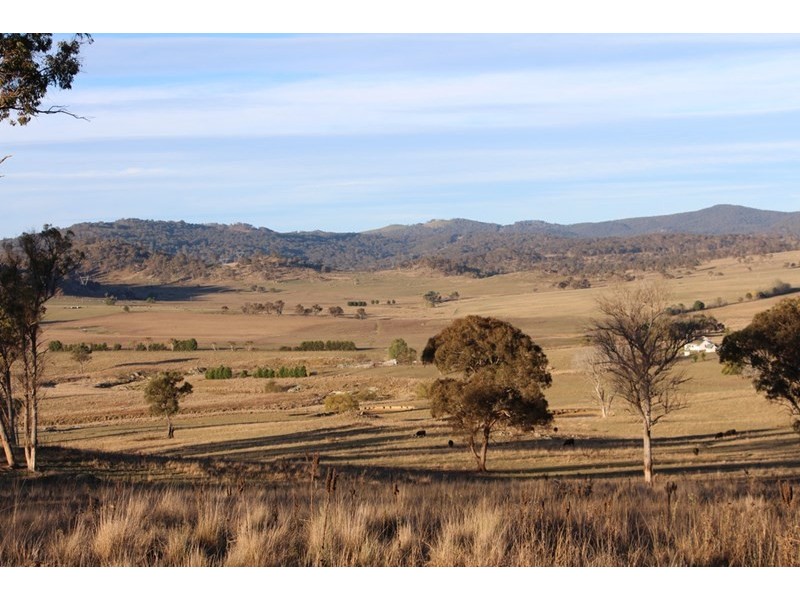 Fairview, 13 Murray’s Road, Wollomombi NSW 2350