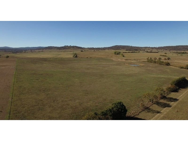 Fairview, 13 Murray’s Road, Wollomombi NSW 2350