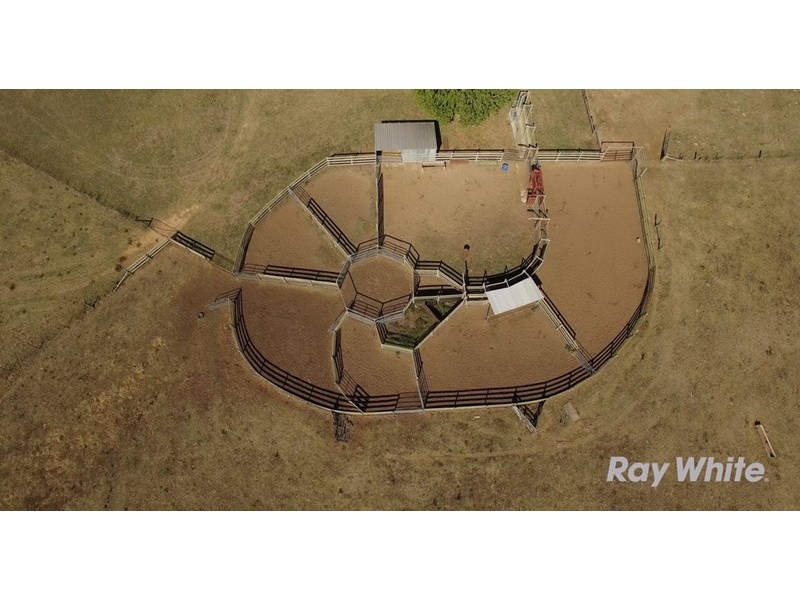 Fairview, 13 Murray’s Road, Wollomombi NSW 2350