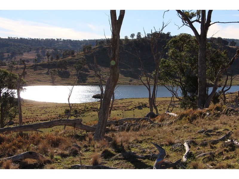 Fairview, 13 Murray’s Road, Wollomombi NSW 2350