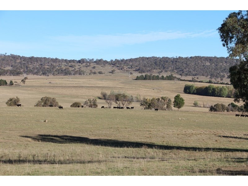 Fairview, 13 Murray’s Road, Wollomombi NSW 2350