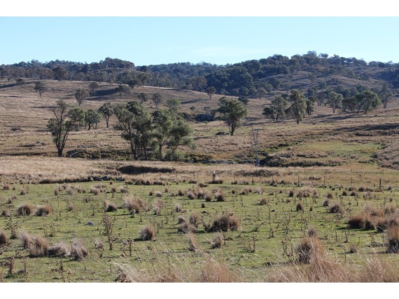 Fairview, 13 Murray’s Road, Wollomombi NSW 2350