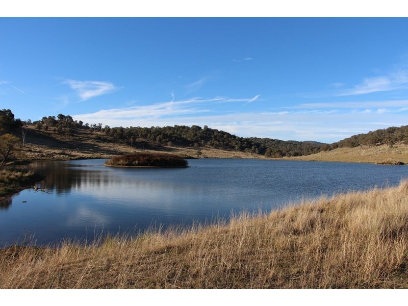 Fairview, 13 Murray’s Road, Wollomombi NSW 2350