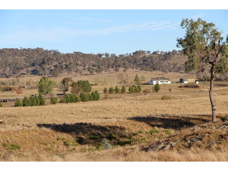 Fairview, 13 Murray’s Road, Wollomombi NSW 2350