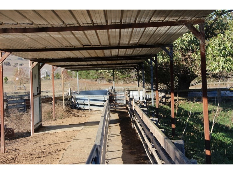 Fairview, 13 Murray’s Road, Wollomombi NSW 2350