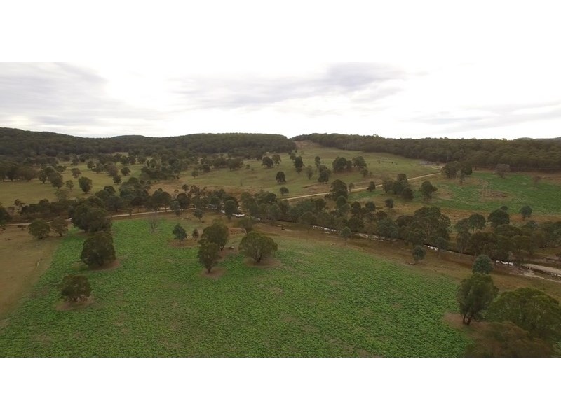 Mossgrove 59 Tanners Road, Wollomombi NSW 2350