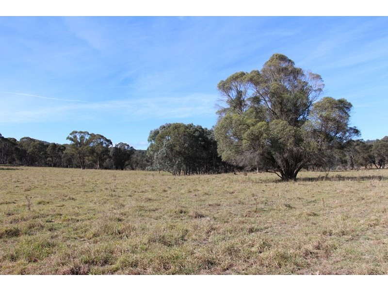 Mossgrove 59 Tanners Road, Wollomombi NSW 2350