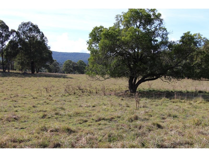 Mossgrove 59 Tanners Road, Wollomombi NSW 2350