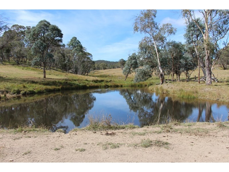 Mossgrove 59 Tanners Road, Wollomombi NSW 2350