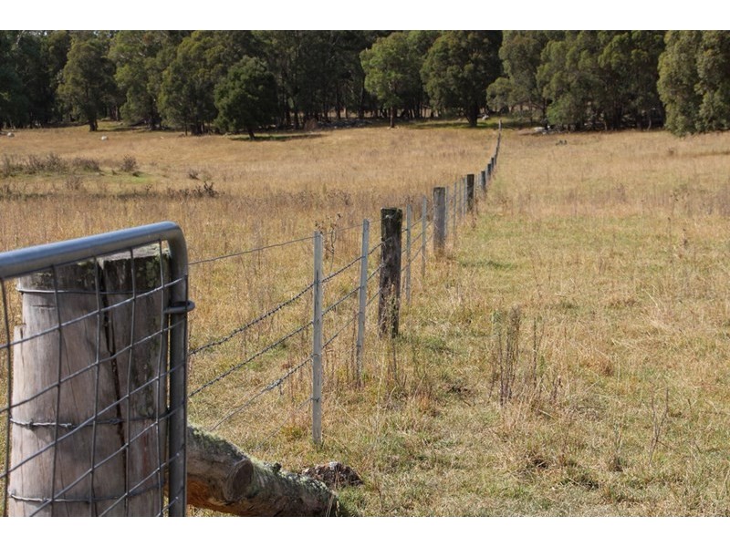 Mossgrove 59 Tanners Road, Wollomombi NSW 2350