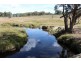 Mossgrove 59 Tanners Road, Wollomombi NSW 2350