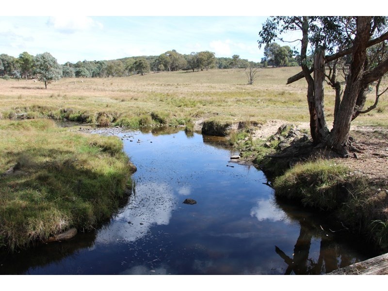 Mossgrove 59 Tanners Road, Wollomombi NSW 2350