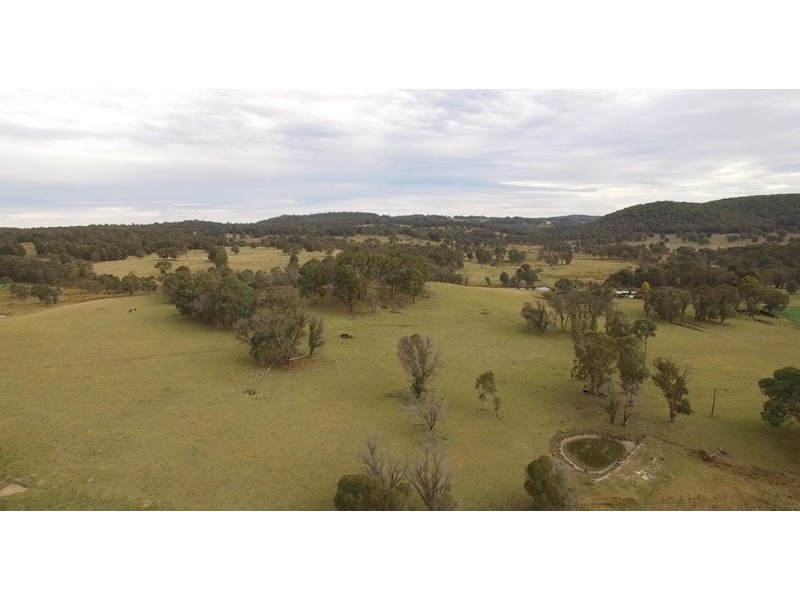 Mossgrove 59 Tanners Road, Wollomombi NSW 2350