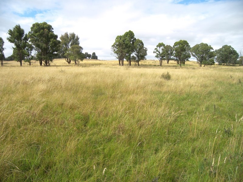 Five Wire 524 Westbrook Road, Guyra NSW 2365