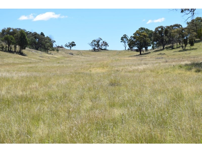 Five Wire 524 Westbrook Road, Guyra NSW 2365