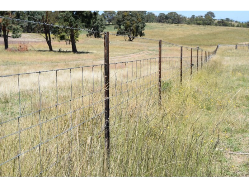 Five Wire 524 Westbrook Road, Guyra NSW 2365
