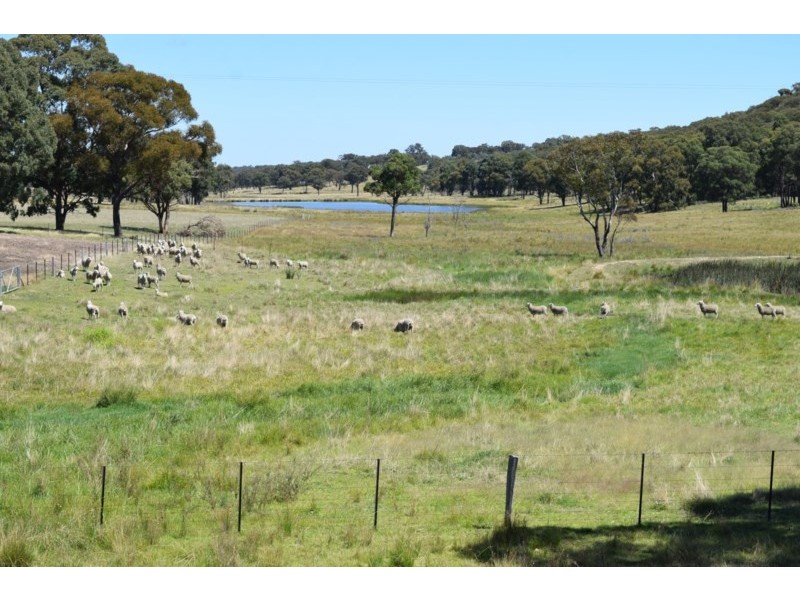 Five Wire 524 Westbrook Road, Guyra NSW 2365