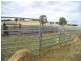Five Wire 524 Westbrook Road, Guyra NSW 2365