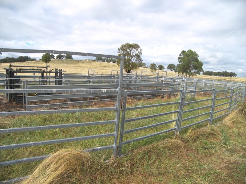 Five Wire 524 Westbrook Road, Guyra NSW 2365