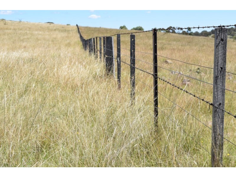 Five Wire 524 Westbrook Road, Guyra NSW 2365