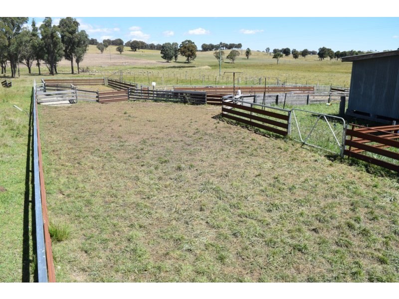 Five Wire 524 Westbrook Road, Guyra NSW 2365