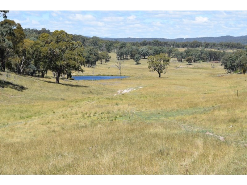 Five Wire 524 Westbrook Road, Guyra NSW 2365