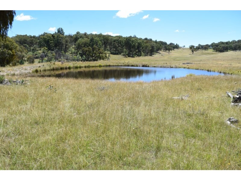 Five Wire 524 Westbrook Road, Guyra NSW 2365