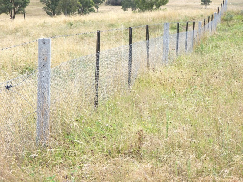 Five Wire 524 Westbrook Road, Guyra NSW 2365