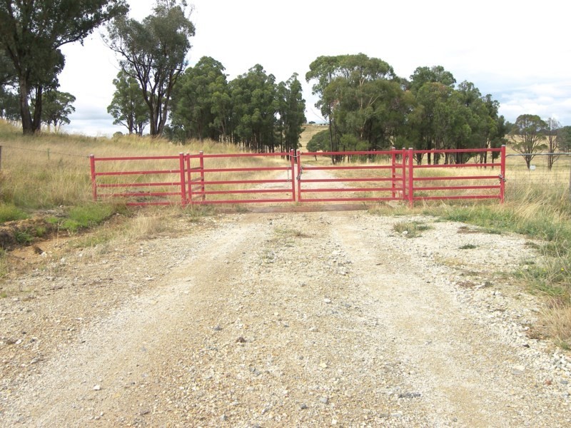 Five Wire 524 Westbrook Road, Guyra NSW 2365