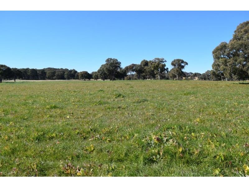 Five Wire 524 Westbrook Road, Guyra NSW 2365