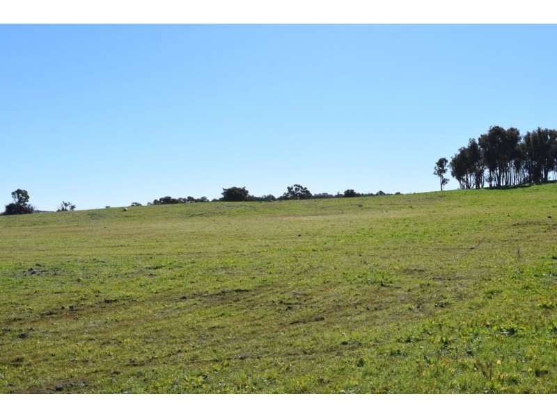 Five Wire 524 Westbrook Road, Guyra NSW 2365